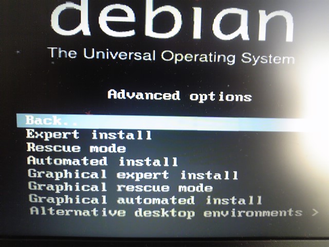 Advanced optionsメニューが表示される